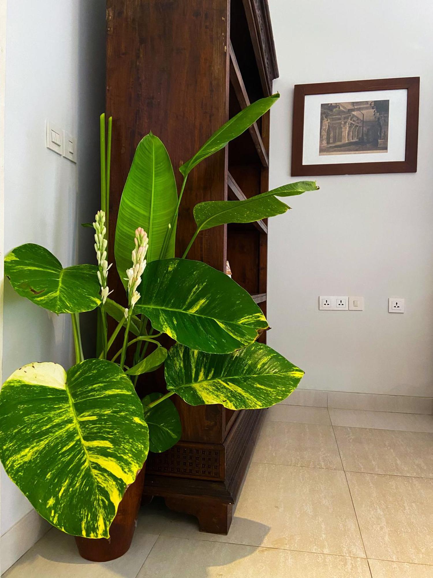 Raaga Samudra Villa Padangbai  Exteriör bild
